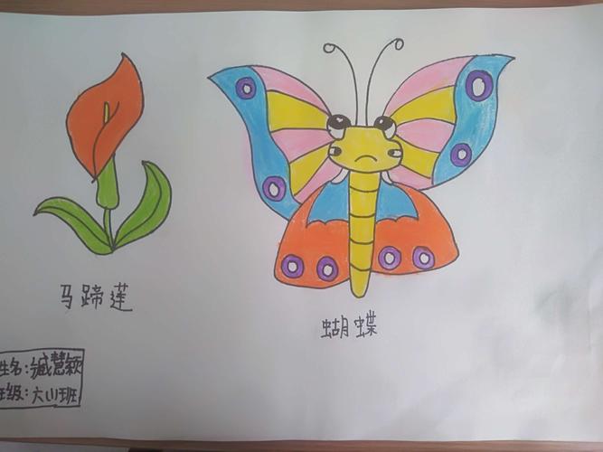 汤阴县任固镇岳儿寨中心小学童心简笔画社团之花与蝴蝶 写美篇  春天