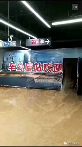 日记女王连载137 深圳挺住!