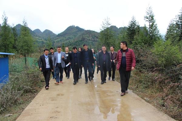 万物生土鸡养殖专业合作社与西畴县兴龙养殖专业合作社,西畴县马汗塘