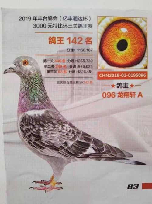 龙翔轩