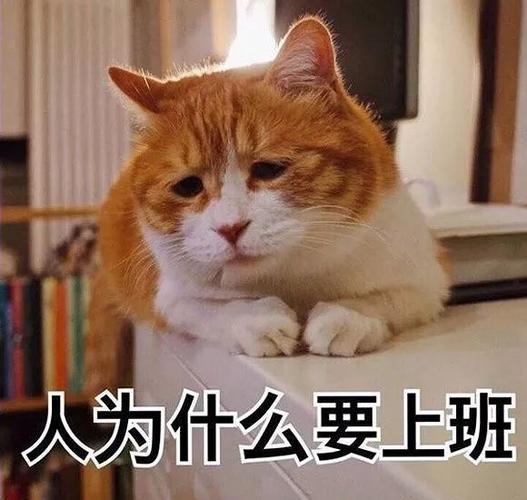 上一个看到这套吐槽工作表情包的人已经祭天了