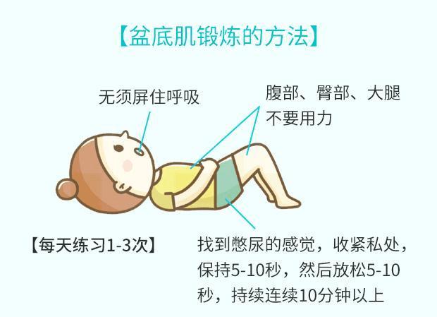 矩形脉冲电流刺激盆底肌,特别是肛提肌的支配神经,经神经反射增强盆底