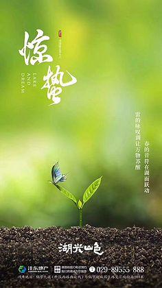 节气-惊蛰