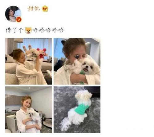 导读:  6月7日晚上,网红甜仇在社交平台晒出一组萌宠照片,并配文"借了