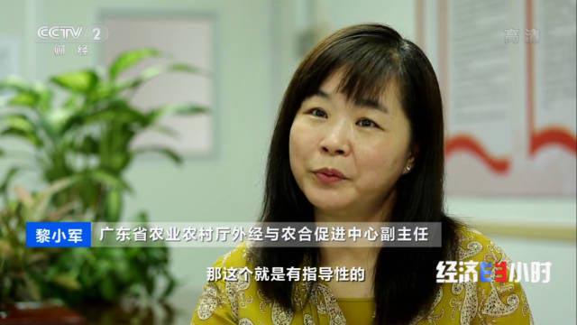 广东 "12221"市场体系助茂名荔枝龙眼卖向