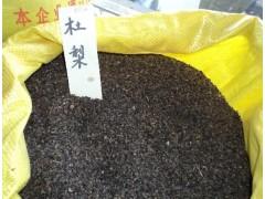 求购杜梨种子