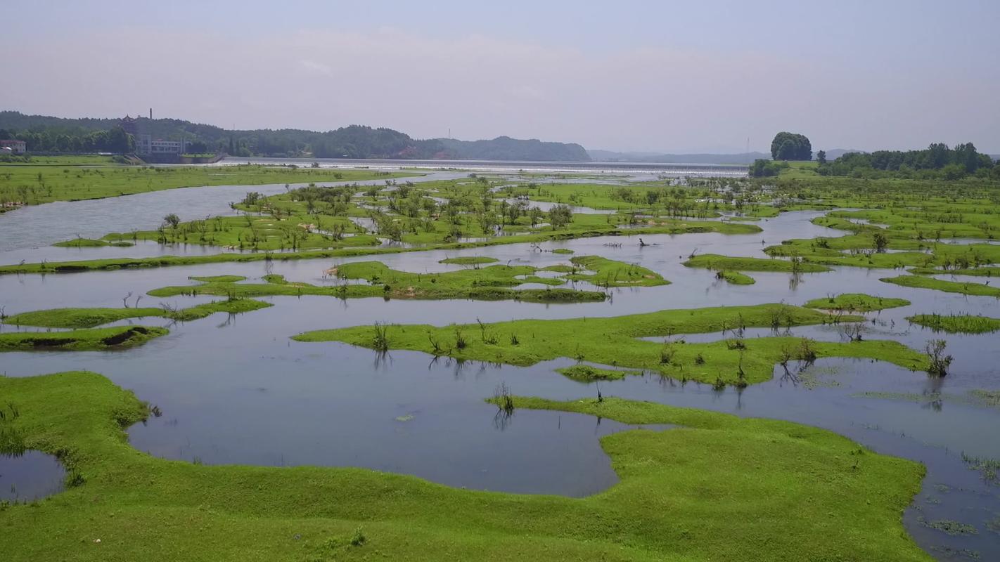 六安市首家淠河湿地正式获封"国家湿地公园"