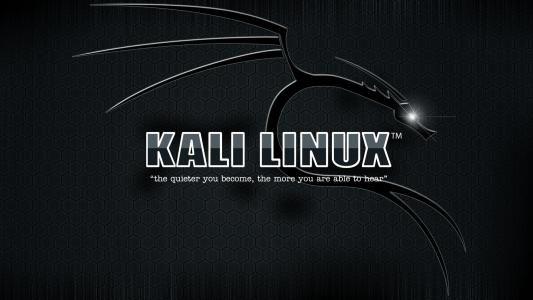 揭秘黑客必备的kalilinux是什么有哪些弊端