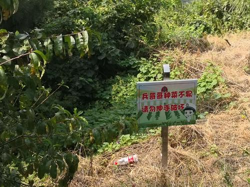 路边部队菜地旁的提示牌.