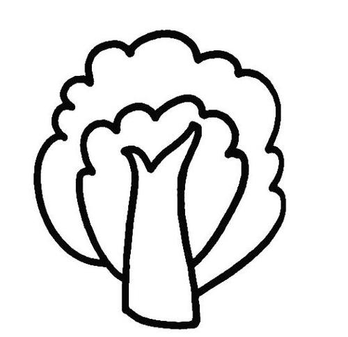 卡通杨树的画法杨树简笔画步骤图片素描