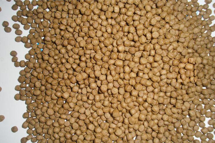 水龟陆龟粮草龟饲料乌龟饲料高蛋白饲料石金钱龟饲料1号料