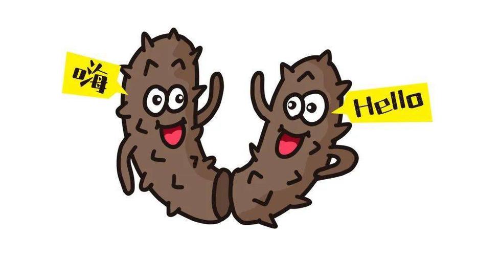 香庭海岸野生刺参基地捕捞体验之旅_海参