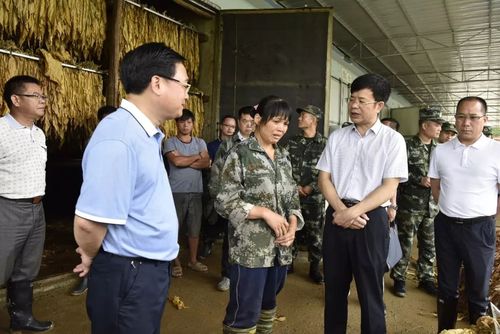 百色副市长罗试坚到德保县检查指导防汛减灾工作