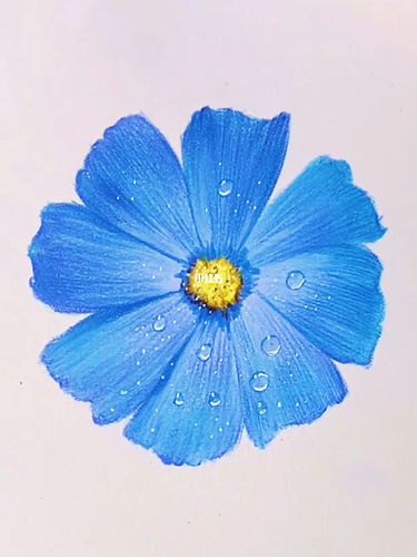 彩铅画|为什么教程真的高清完整,却没人看_彩铅画_教程_铅笔_彩铅