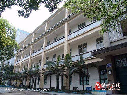 龙马潭区泸化中学_泸州市美丽校园评选网络投票页