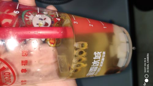蜜雪冰城饮料喝一半喝出虫子!