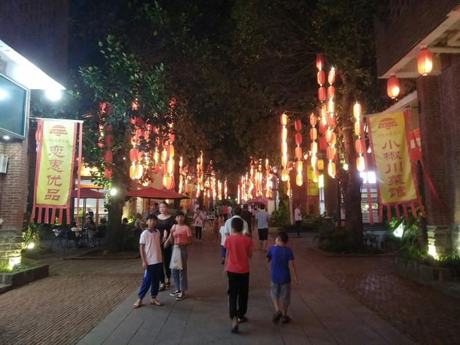 国家历史文化名城一雷州《茂德公古城夜景》