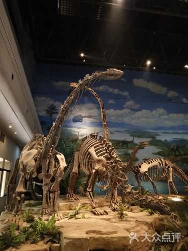 自贡恐龙博物馆图片 - 第48张