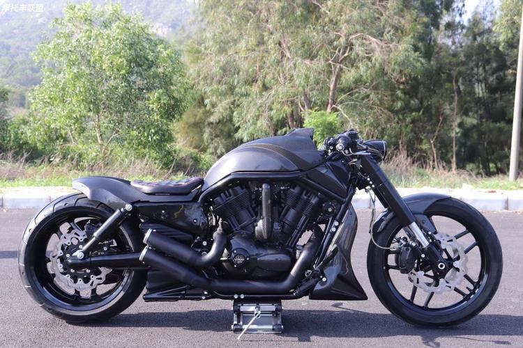 **原始动力机车 哈雷定制金刚狼 全车德国碳纤维 升降