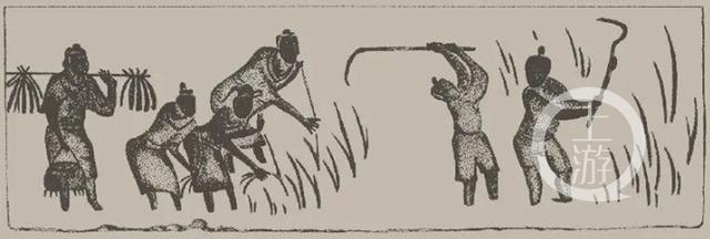 杠杆去糠,分工合作……一组画像砖揭秘两千年前重庆先民的丰收场景