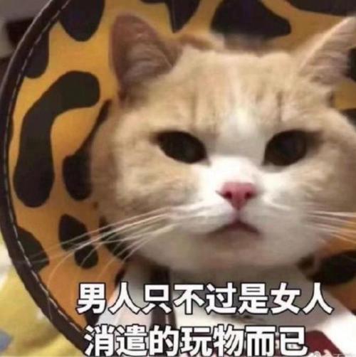 故意气男朋友的句子(气死男朋友的表情包)