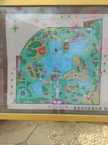 兴庆宫公园的歌声