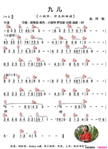 九儿小提琴.萨克斯曲谱