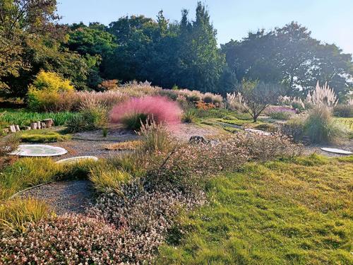 秋游合肥植物园