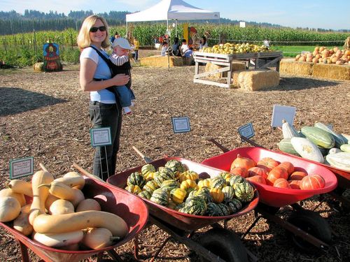 美国农村高清大片,真的很美