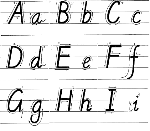 二年级英语 26个英文字母系统总结及专项练习辅导资料 英语26个字母