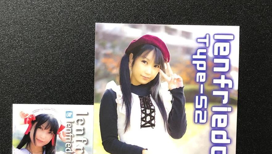 lenfried 新作コスプレrom写真集【lenfriedom type-52】 会场限定 ch