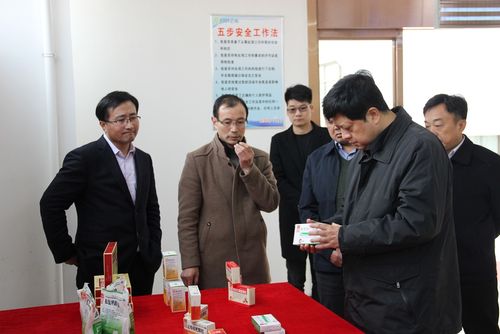 宿州市市长杨军一行莅临宿州亿帆参观考察