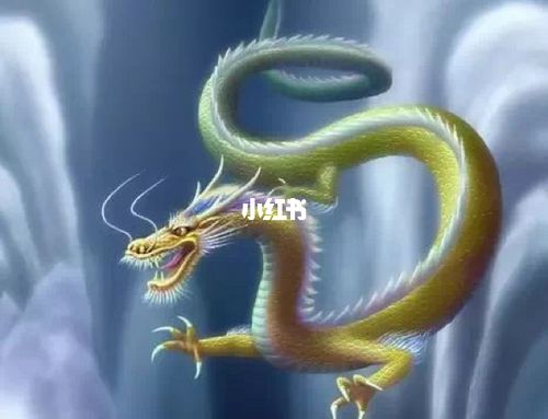 识,有素养,但是却不能充分发挥,有生不逢时之感,喜欢抱怨生活的不如意