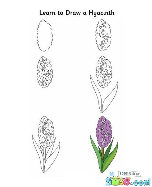 风信子简笔画图片大全