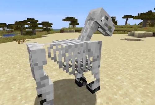我的世界 骷髅马到底有多稀有?真正见过的人不超过万分之一