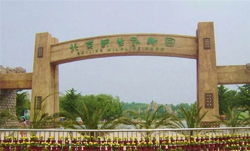 参观中国影视大乐园,北京野生动物园,与动物近距离接触!