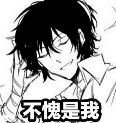 文豪野犬中也表情包