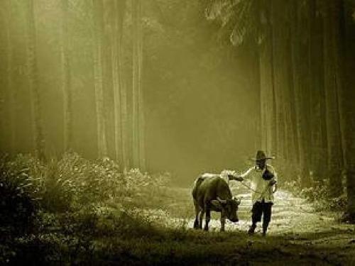 为了活着而活着——《活着》书评