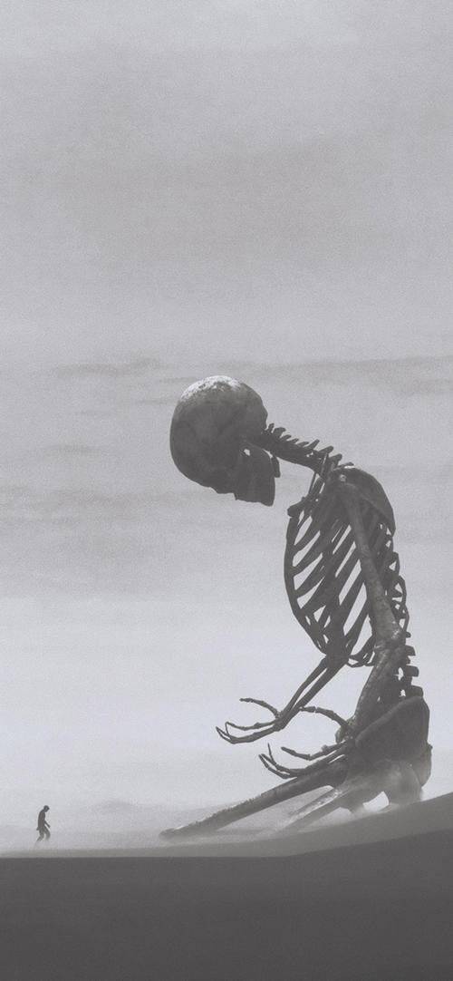 灰白艺术创意高清手机壁纸