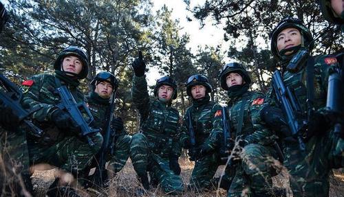 武警总队,武警机动总队,有什么区别?编制不同,职能也有所区别