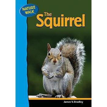 【预订】the squirrel