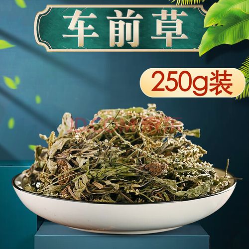尧虎养生茶饮 车前草车轮菜非同仁堂野生干车前草茶中草药原材料泡水