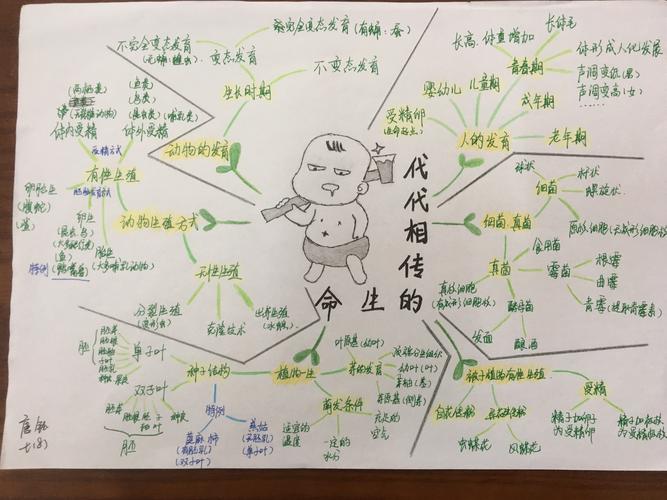 科学第一章知识思维导图