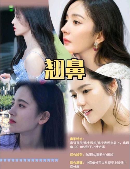 女明星好看鼻子大盘点