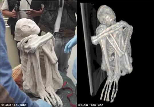 南美洲出土奇怪"木乃伊"头颅细长有三根手指,俄罗斯专家:是外星人