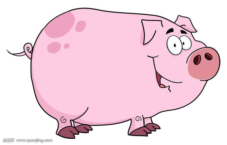 猪的卡通图片大全可爱