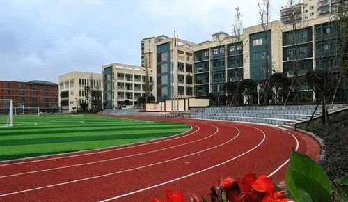 泸州学校排名泸州最好的高中(泸州有哪几所高中)