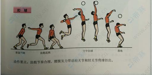 排球扣球技术.png