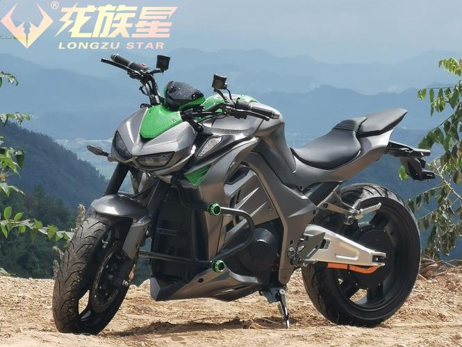 电动摩托车跑车大蟒蛇z1000街车公路赛高速非地平线龙族星豫玛lg