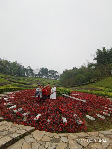 2o20年11月13日老年大学一日游大邑县天府花溪谷